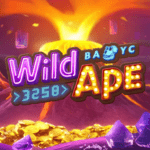 Wild Ape Online Casino