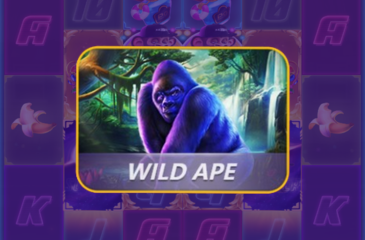 Wild Ape Online Casino