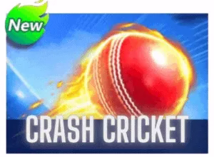 Crash Cricket